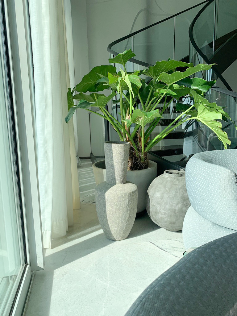 Ceramic vessel pearl grey XL