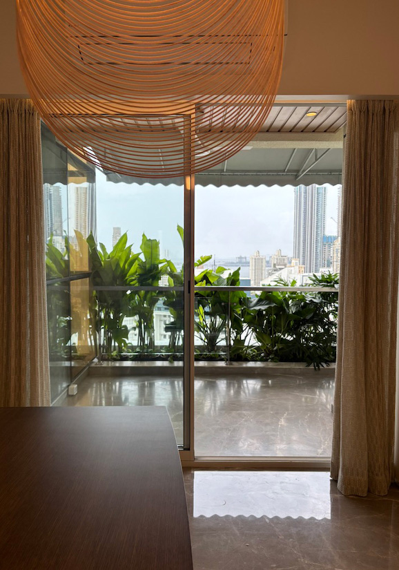 Heliconia Red Lobster